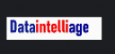 Dataintelliage Logo