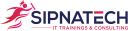 Sipnatech IT Trainings Logo
