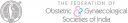 Federation Of Obstetric And Gynaecological Societies Logo