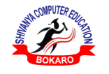 Shivanya Computer Education Logo