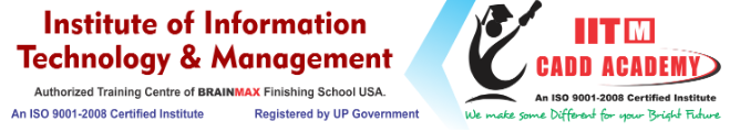 Institute of Information Technology and Management Logo