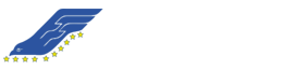 Falcon Flying Group Logo