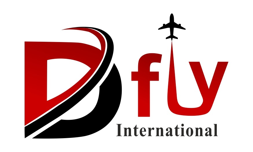 Dfly International Logo