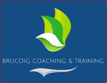 Brucoig Coaching And Training Logo