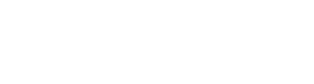 Ne-Sport Logo