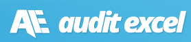 Audit Excel Logo