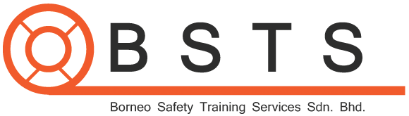 BSTS Logo