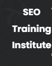 SEO Training Institutes Logo