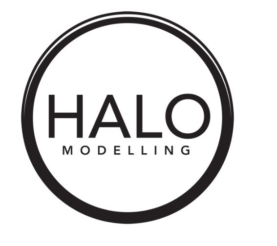 Halo Modelling Logo