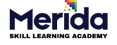 Merida Skill Learning Academy Logo