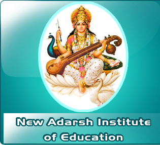 New Adarsh Institute of Education Logo