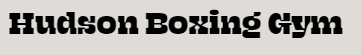 Hudson Boxing Gym Logo