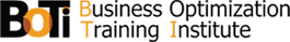 Business Optimization Training Institute Logo