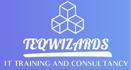 Teq Wizards Logo