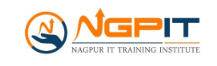 NgapurIt Traning Institute Logo