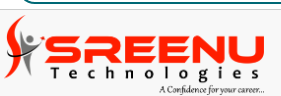 Sreenu Technologies Logo