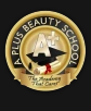 A+ Beauty Academy Logo