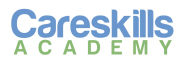 Careskills Academy Logo
