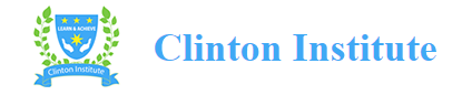 Clinton Institute Logo