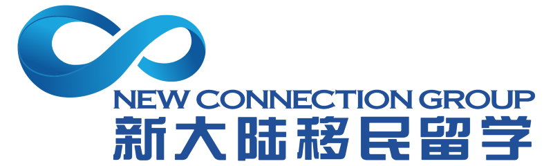 New Connection Group Logo
