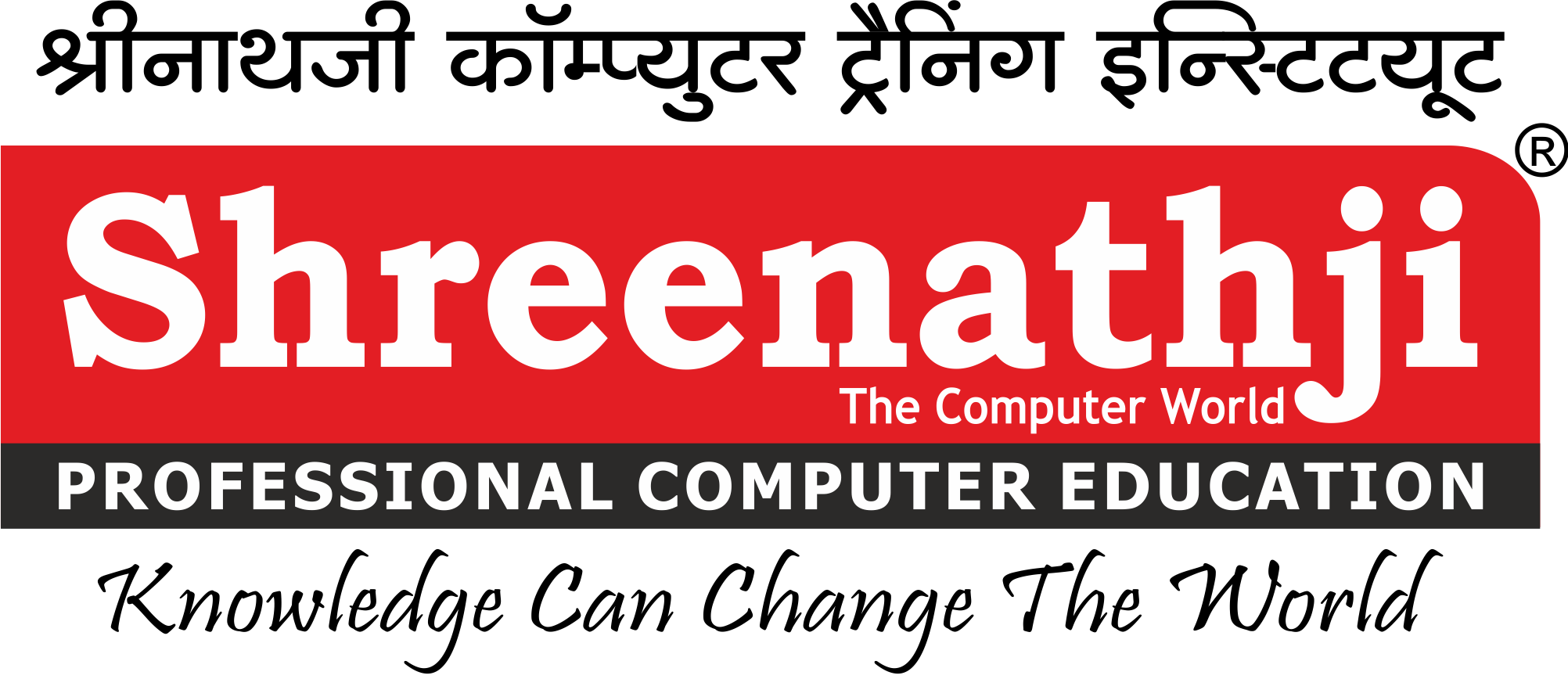 Shreenathji Computer Institute Logo