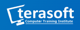 Terasoft Computer Training Institute Logo