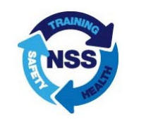 National Safety Services Logo