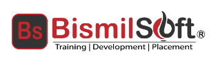 Bismilsoft Pvt Ltd Logo