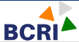 BCRI- Bangalore Clinical Research Institute Logo