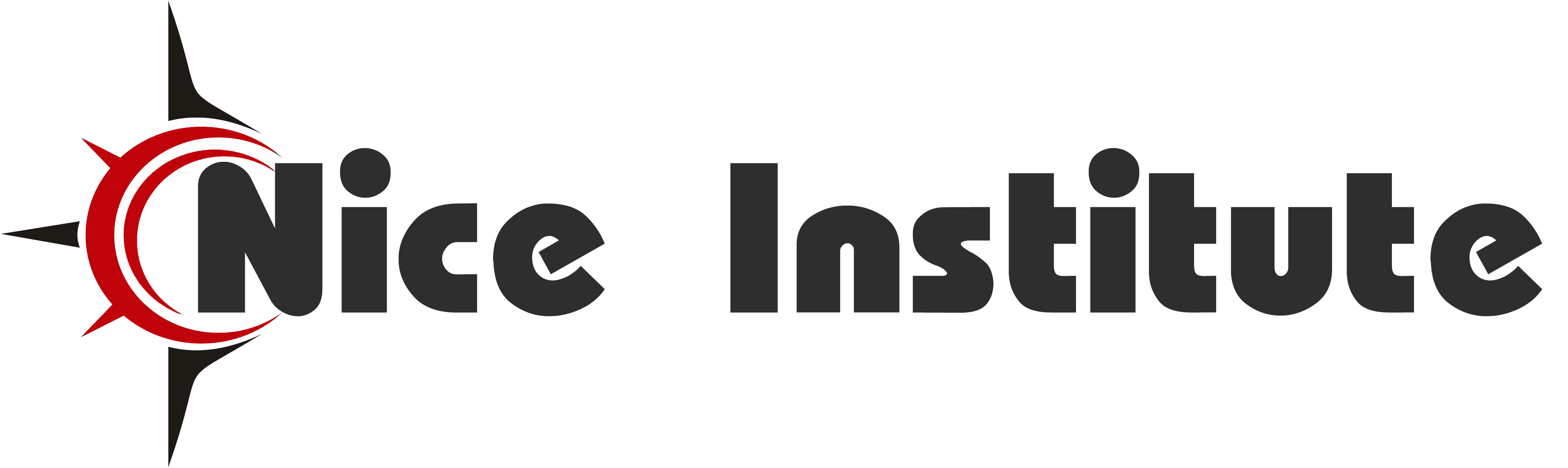Nice Institute Logo