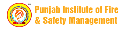 Punjab Institute of Fire and Safety Management Logo