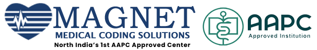 Magnet Medical Coding Solutions Logo