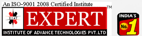 Expert Institute Logo