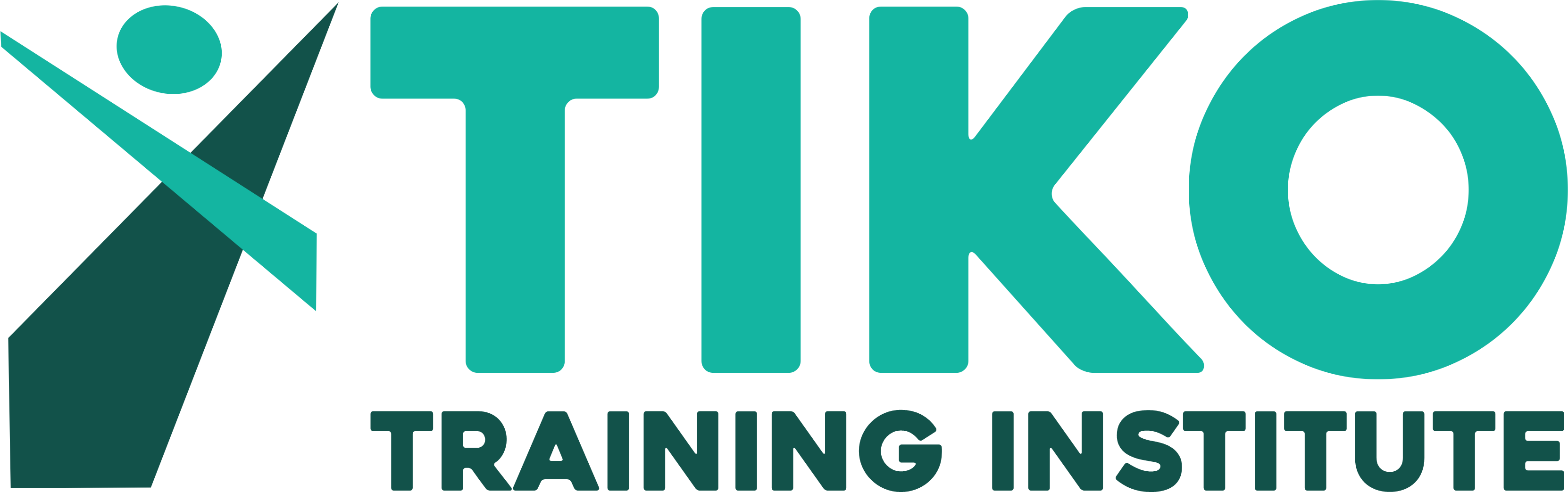 TIKO Training Logo