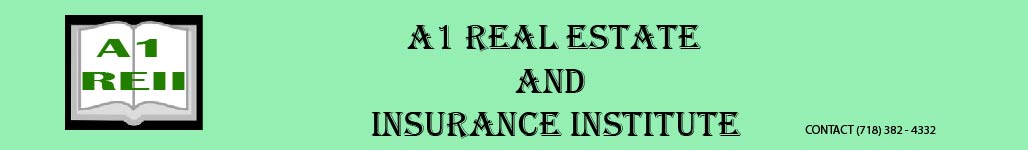 A1 Real Estate and Insurance Institute Logo