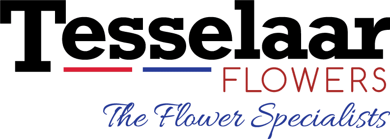 Tesselaar Flowers Logo
