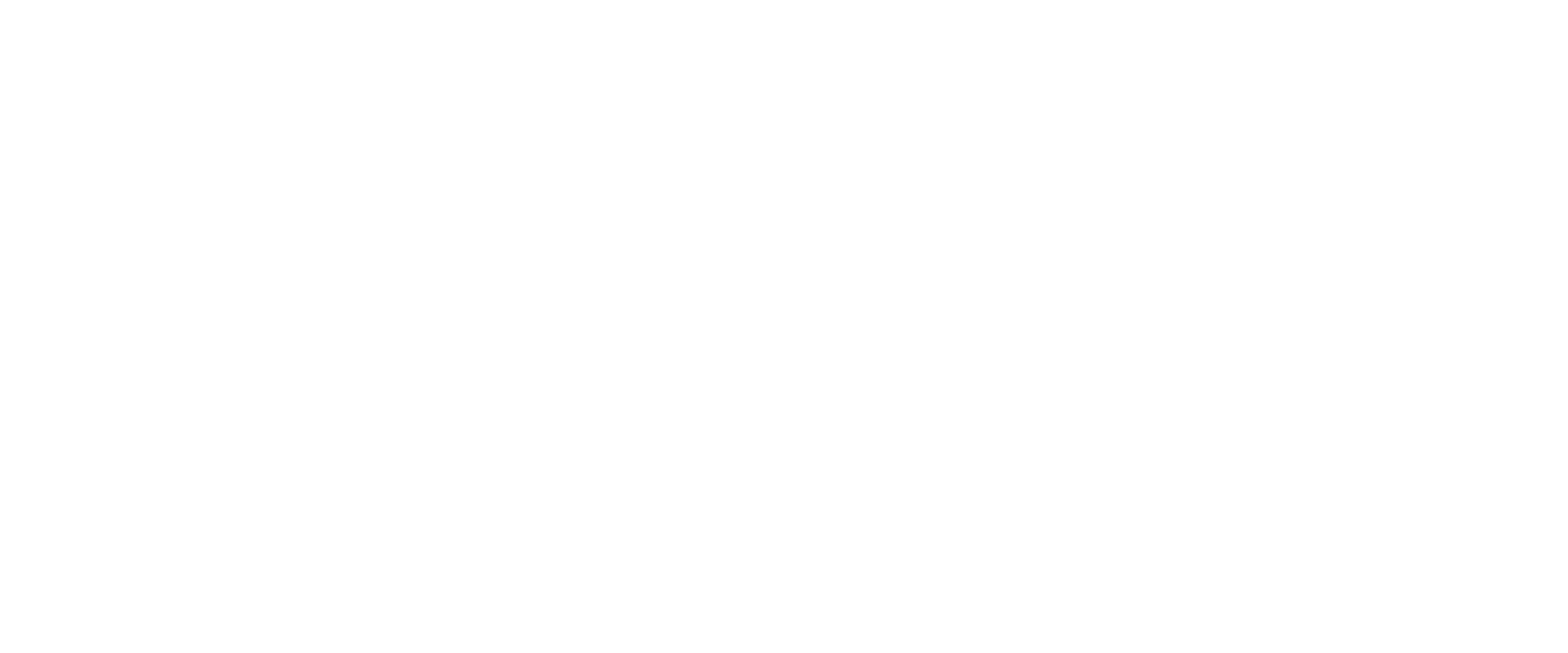 Fire BCS Logo