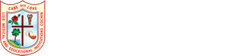 Lisie College of Nursing Logo