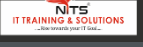 NetLeap IT Training And Solutions Logo