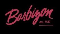 Barbizon Logo