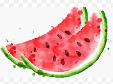 Watermelon Sessions Inc. Logo