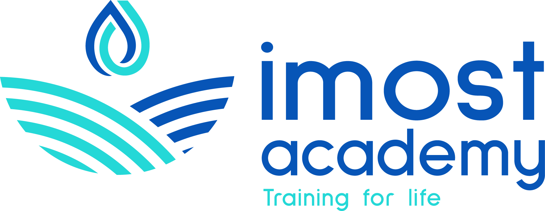 IMost Academy Logo
