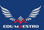 Edumaestro Academy Logo
