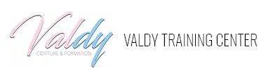 Valdy Training Center Logo