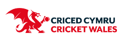 Cricket Wales Logo