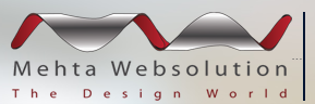 Mehta Websolution Logo