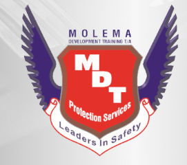 Molema Development Training Logo