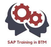 SAP Training In BTM Logo