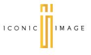 Iconic Image Logo