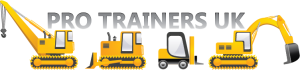 Pro Trainers UK Logo